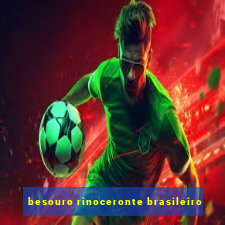 besouro rinoceronte brasileiro